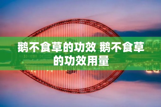 鹅不食草的功效 鹅不食草的功效用量
