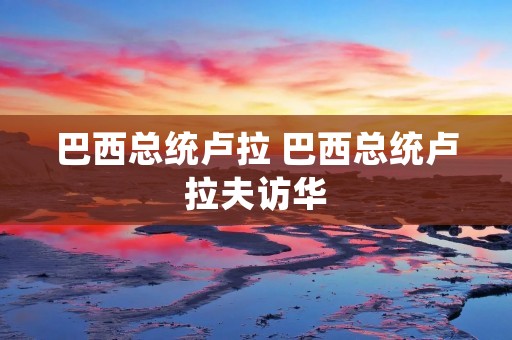 巴西总统卢拉 巴西总统卢拉夫访华