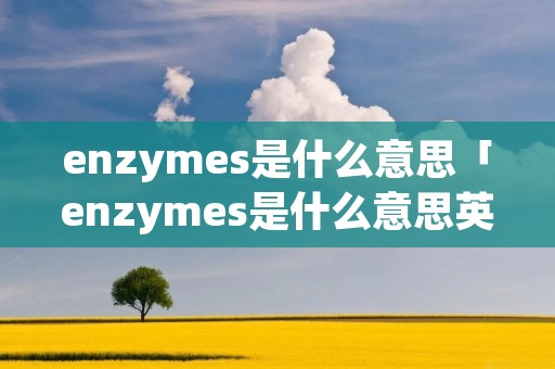 enzymes是什么意思「enzymes是什么意思英语」 enzymes是什么意思「enzymes是什么意思英语」