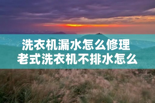 洗衣机漏水怎么修理 老式洗衣机不排水怎么修理 洗衣机漏水怎么修理 老式洗衣机不排水怎么修理