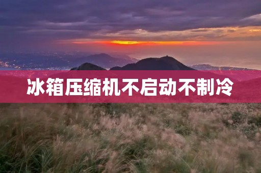 冰箱压缩机不启动不制冷:原因及解决方法 冰箱压缩机不启动不制冷:原因及解决方法