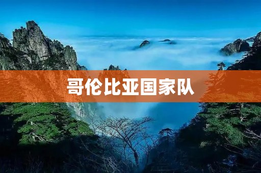 哥伦比亚国家队：南美足球的辉煌之光