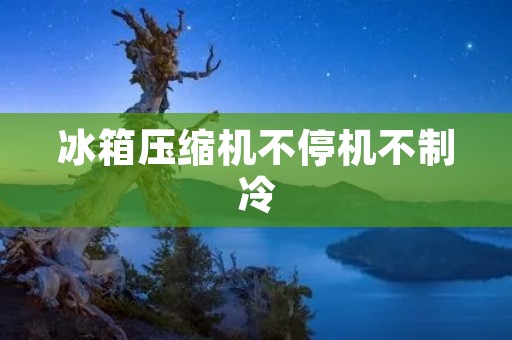 冰箱压缩机不停机不制冷：原因和解决办法