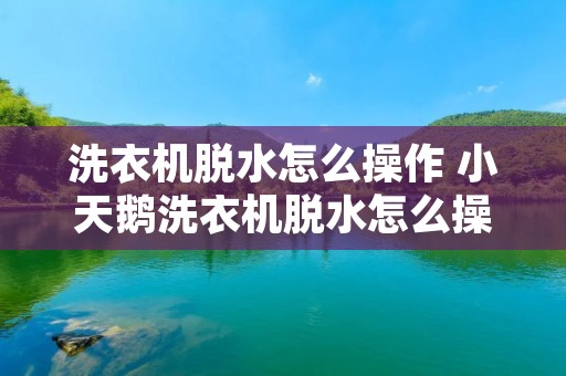 洗衣机脱水怎么操作 小天鹅洗衣机脱水怎么操作