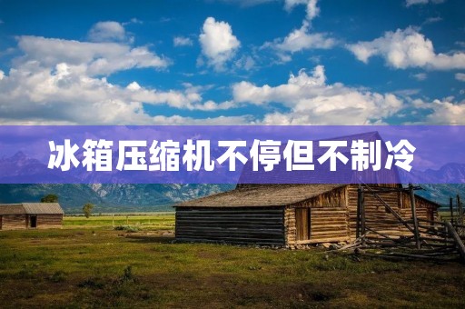 冰箱压缩机不停但不制冷：原因及解决方法