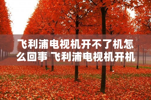 飞利浦电视机开不了机怎么回事 飞利浦电视机开机没反应 飞利浦电视机开不了机怎么回事 飞利浦电视机开机没反应