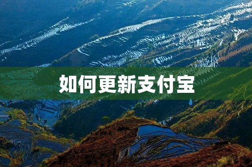 如何更新支付宝