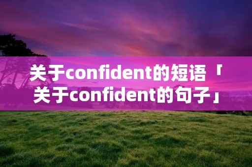 关于confident的短语「关于confident的句子」 关于confident的短语「关于confident的句子」