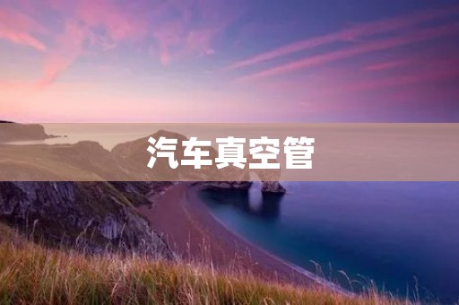 汽车真空管:全面解析汽车发动机中的重要组成部件 汽车真空管:全面解析汽车发动机中的重要组成部件