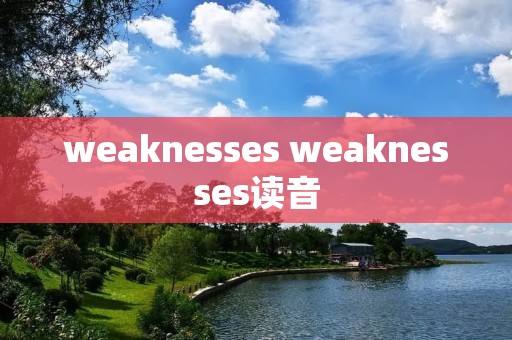 weaknesses weaknesses读音