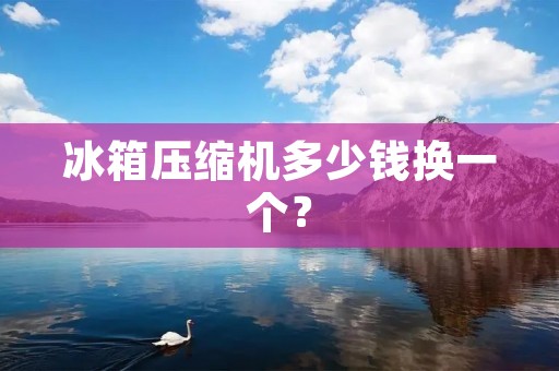 冰箱压缩机多少钱换一个? 冰箱压缩机多少钱换一个?