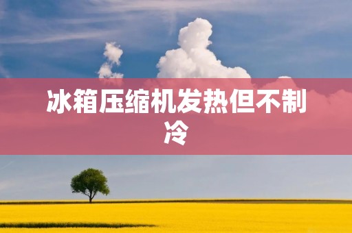 冰箱压缩机发热但不制冷:原因及解决方法 冰箱压缩机发热但不制冷:原因及解决方法