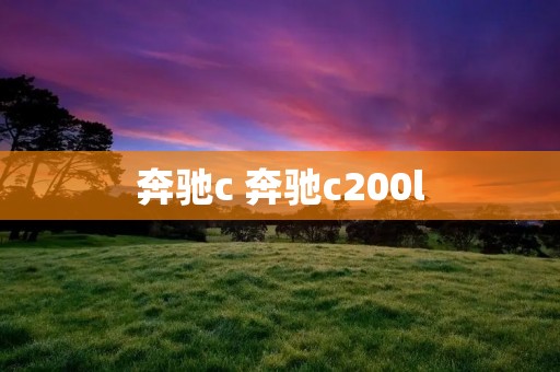 奔驰c 奔驰c200l