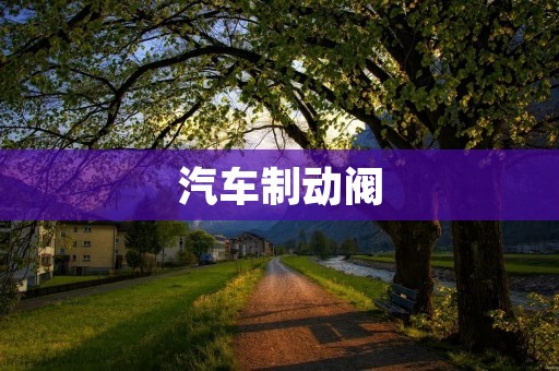 汽车制动阀：安全驾驶的关键