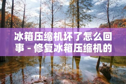 冰箱压缩机坏了怎么回事 - 修复冰箱压缩机的常见问题及方法 冰箱压缩机坏了怎么回事 - 修复冰箱压缩机的常见问题及方法
