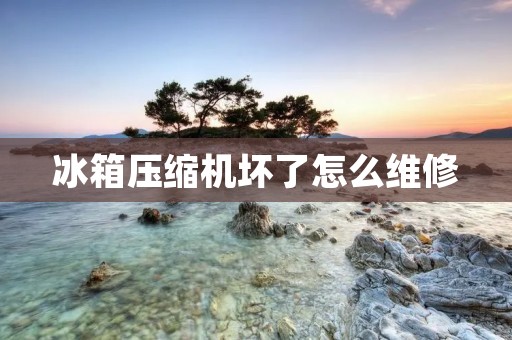 冰箱压缩机坏了怎么维修 冰箱压缩机坏了怎么维修