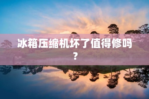 冰箱压缩机坏了值得修吗? 冰箱压缩机坏了值得修吗?