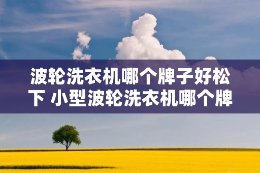 波轮洗衣机哪个牌子好松下 小型波轮洗衣机哪个牌子质量好