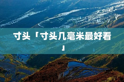 寸头「寸头几毫米最好看」