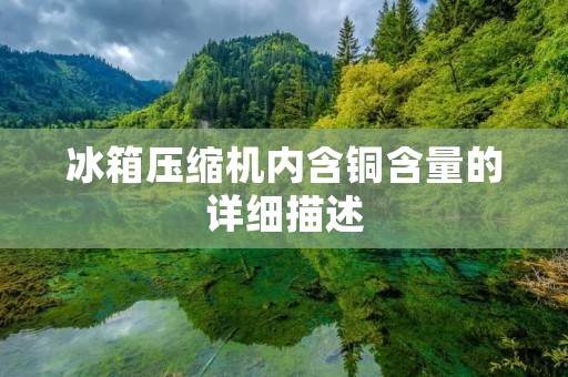 冰箱压缩机内含铜含量的详细描述 冰箱压缩机内含铜含量的详细描述
