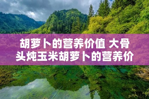 胡萝卜的营养价值 大骨头炖玉米胡萝卜的营养价值 胡萝卜的营养价值 大骨头炖玉米胡萝卜的营养价值