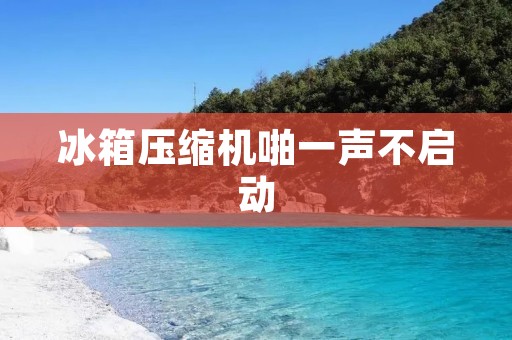 冰箱压缩机啪一声不启动:故障原因及解决方法 冰箱压缩机啪一声不启动:故障原因及解决方法
