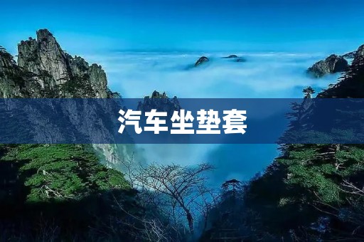 汽车坐垫套：为你的座驾带来舒适与保护