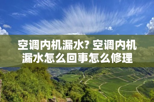 空调内机漏水? 空调内机漏水怎么回事怎么修理