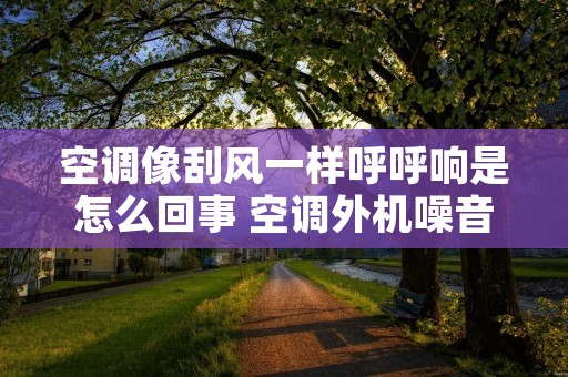 空调像刮风一样呼呼响是怎么回事 空调外机噪音大嗡嗡响怎么回事 空调像刮风一样呼呼响是怎么回事 空调外机噪音大嗡嗡响怎么回事