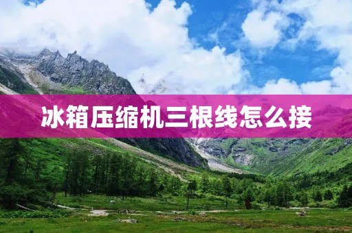 冰箱压缩机三根线怎么接：详细步骤及注意事项