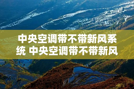 中央空调带不带新风系统 中央空调带不带新风功能