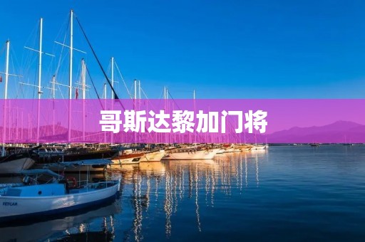 哥斯达黎加门将：世界级守门员的光辉篇章