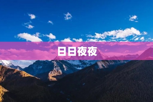 日日夜夜:追寻梦想的征程