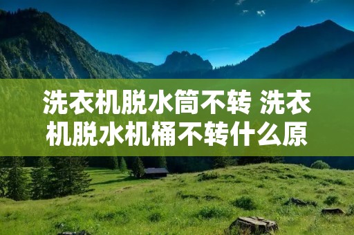 洗衣机脱水筒不转 洗衣机脱水机桶不转什么原因