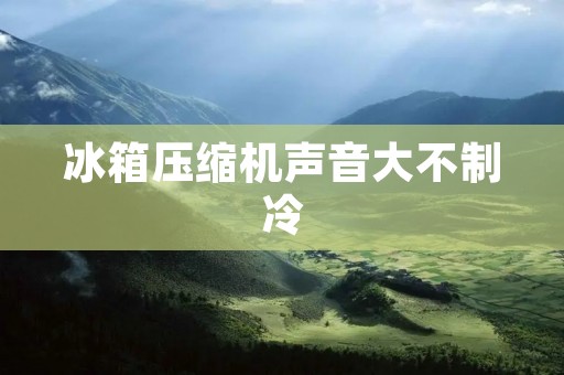 冰箱压缩机声音大不制冷:问题原因及解决方法 冰箱压缩机声音大不制冷:问题原因及解决方法