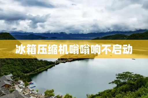 冰箱压缩机嗡嗡响不启动:原因及解决方法 冰箱压缩机嗡嗡响不启动:原因及解决方法