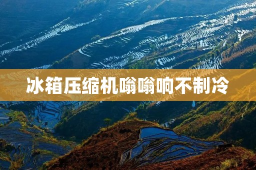 冰箱压缩机嗡嗡响不制冷：详细描述