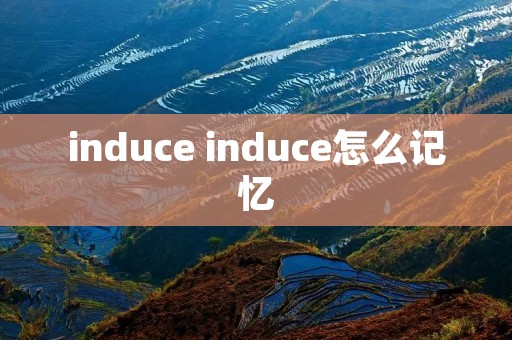 induce induce怎么记忆