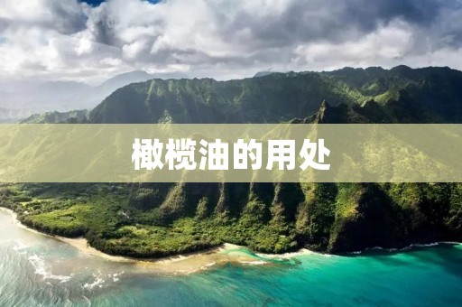 橄榄油的用处
