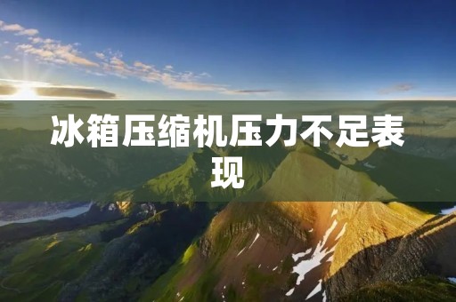 冰箱压缩机压力不足表现:原因和解决方法 冰箱压缩机压力不足表现:原因和解决方法