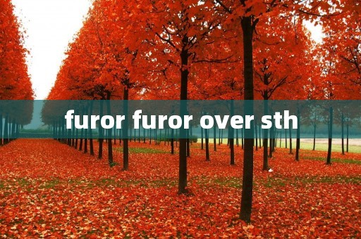 furor furor over sth furor furor over sth