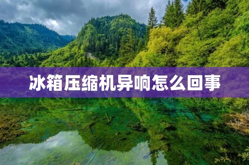 冰箱压缩机异响怎么回事 冰箱压缩机异响怎么回事
