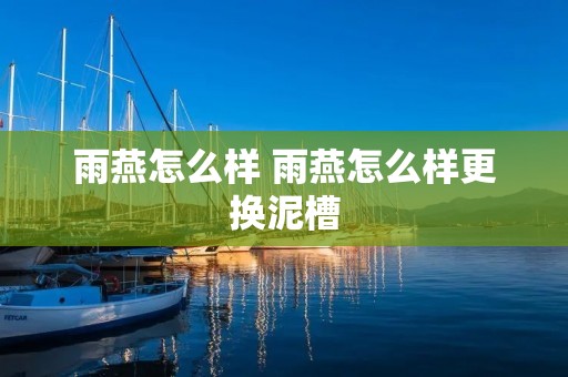 雨燕怎么样 雨燕怎么样更换泥槽