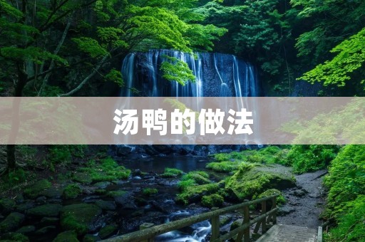 汤鸭的做法：香气四溢的美味佳肴