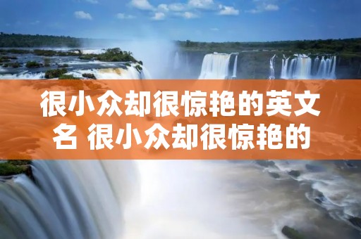 很小众却很惊艳的英文名 很小众却很惊艳的网名