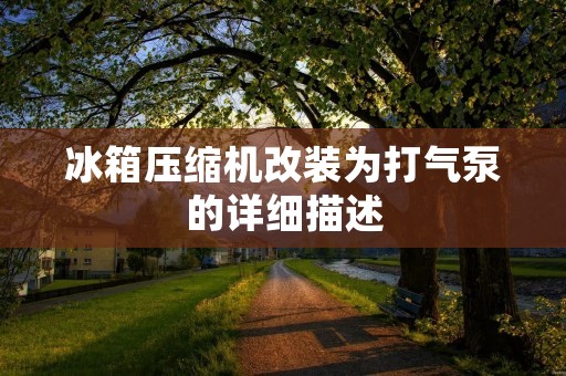 冰箱压缩机改装为打气泵的详细描述