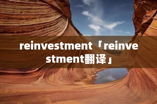 reinvestment「reinvestment翻译」