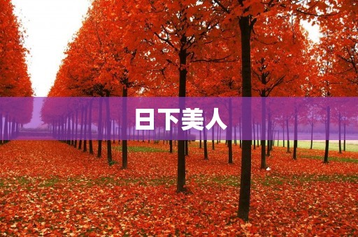 日下美人：花开如画，美丽绽放