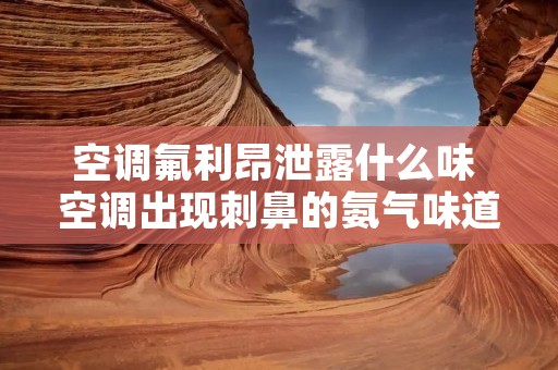 空调氟利昂泄露什么味 空调出现刺鼻的氨气味道