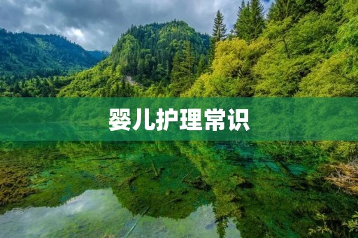 婴儿护理常识:如何正确照顾你的宝宝?